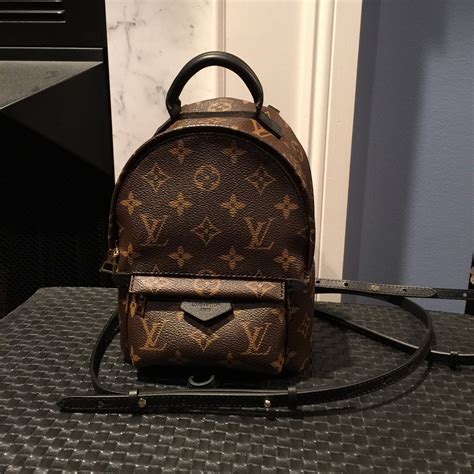 zainetto louis vuitton palm spring mini|louis vuitton mini monogram.